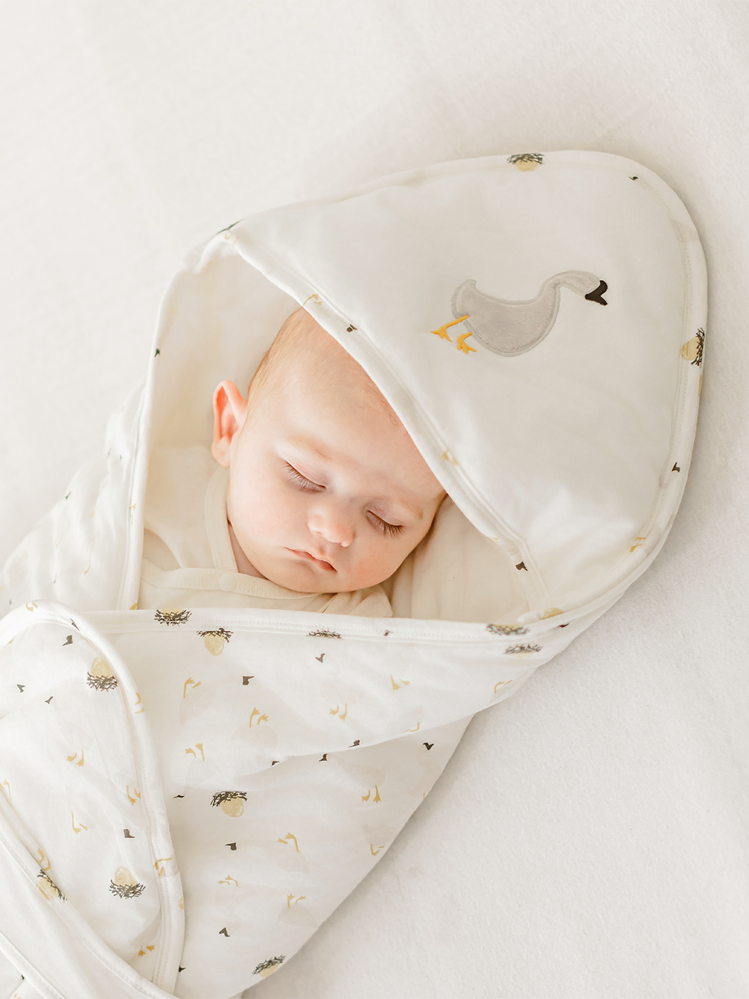 Cotton Jersey Hooded Blanket