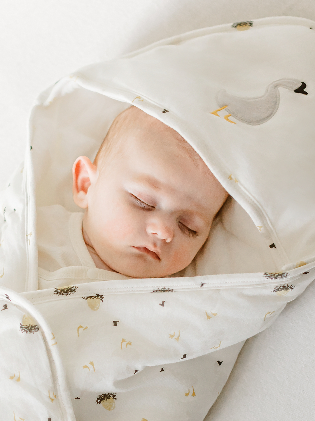 Cotton Jersey Hooded Blanket
